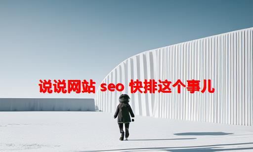 说说网站 SEO 快排这个事儿